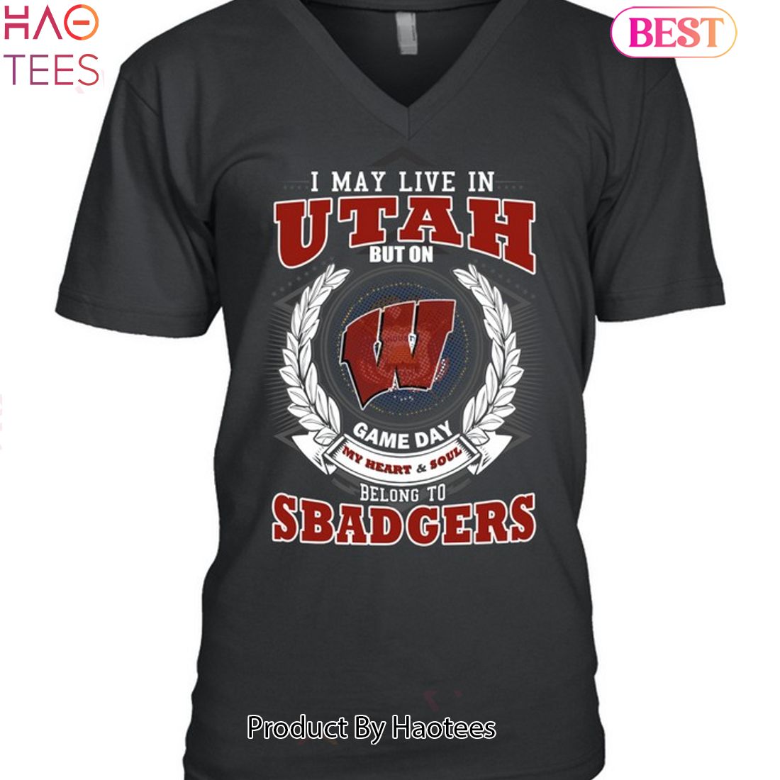 NEW I May Live In Utah But On Game Day My Heart & Soul Belongs To Wisconsin Badgers Unisex T-Shirt NEW I May Live In Utah But On Game Day My Heart & Soul Belongs To Wisconsin Badgers Unisex T-Shirt