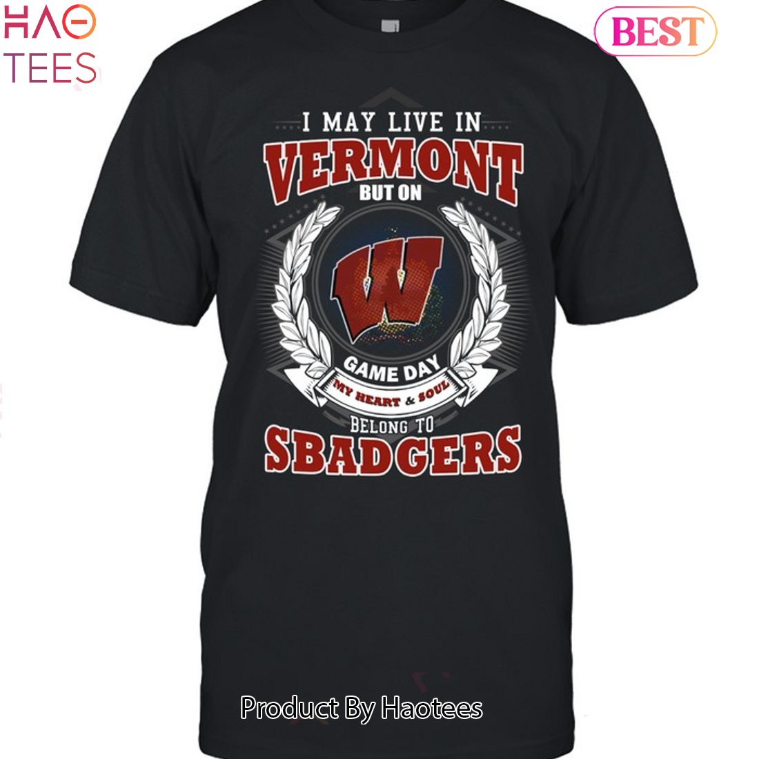 NEW I May Live In Vermont But On Game Day My Heart & Soul Belongs To Wisconsin Badgers Unisex T-Shirt NEW I May Live In Vermont But On Game Day My Heart & Soul Belongs To Wisconsin Badgers Unisex T-Shirt