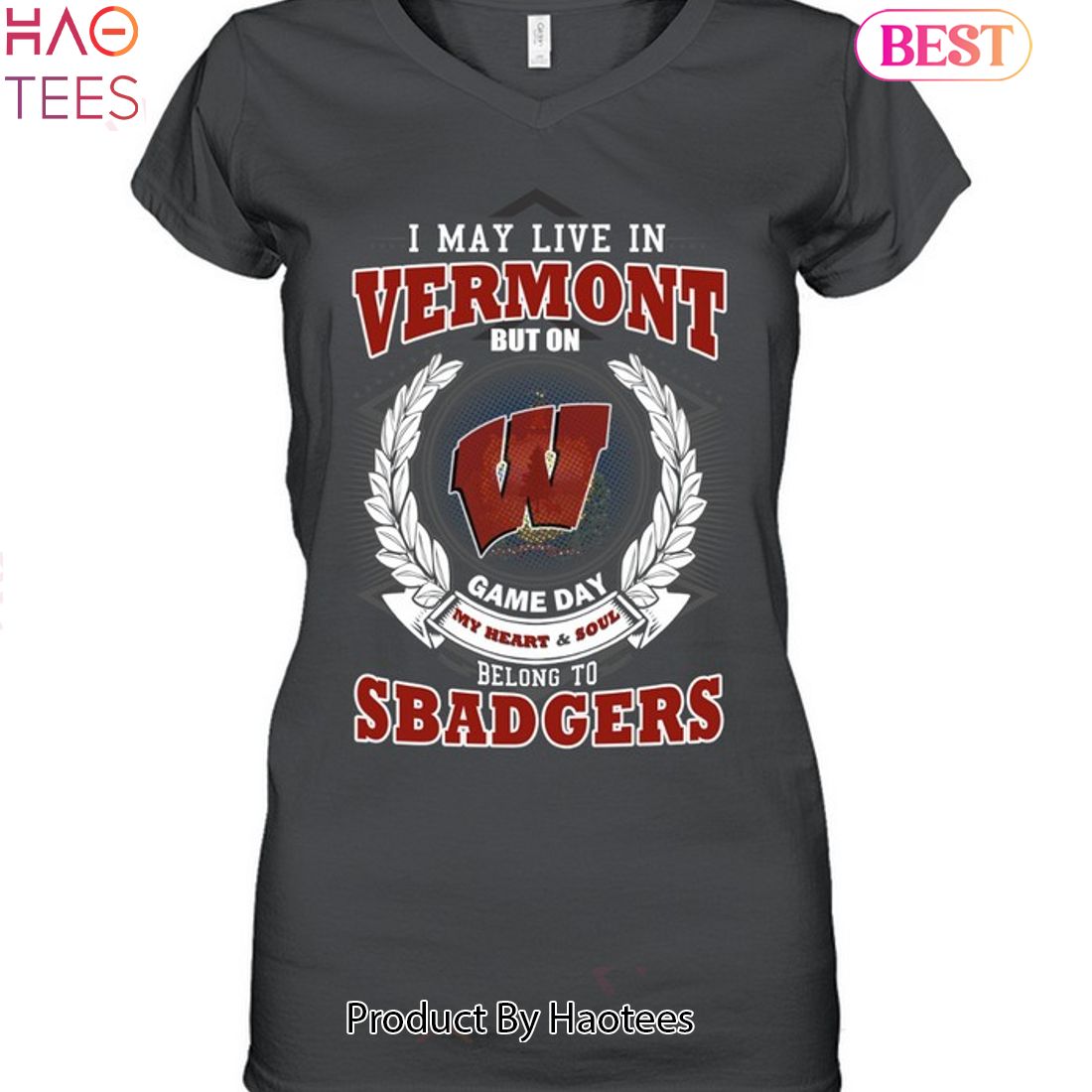 NEW I May Live In Vermont But On Game Day My Heart & Soul Belongs To Wisconsin Badgers Unisex T-Shirt NEW I May Live In Vermont But On Game Day My Heart & Soul Belongs To Wisconsin Badgers Unisex T-Shirt
