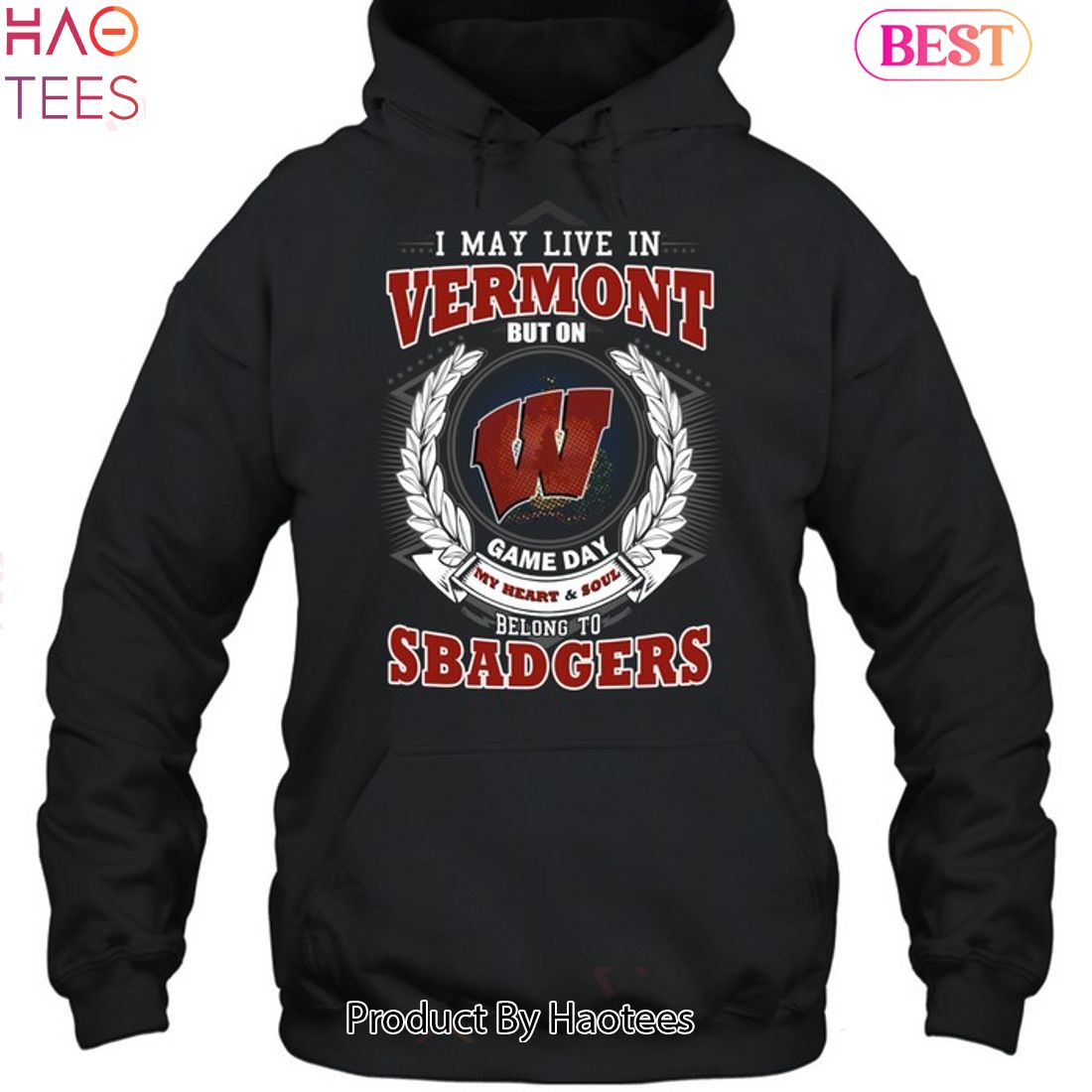 NEW I May Live In Vermont But On Game Day My Heart & Soul Belongs To Wisconsin Badgers Unisex T-Shirt NEW I May Live In Vermont But On Game Day My Heart & Soul Belongs To Wisconsin Badgers Unisex T-Shirt