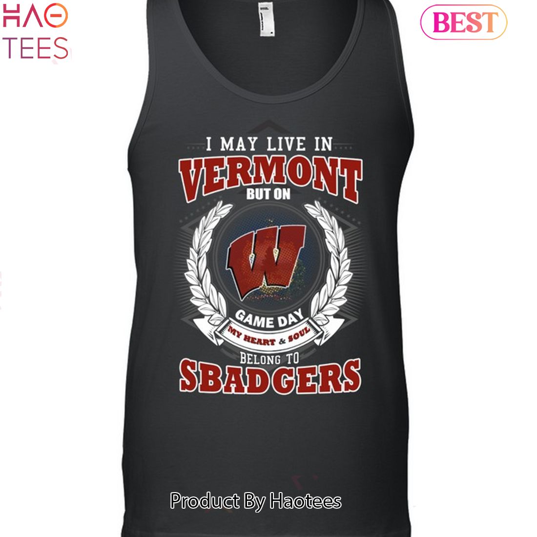 NEW I May Live In Vermont But On Game Day My Heart & Soul Belongs To Wisconsin Badgers Unisex T-Shirt NEW I May Live In Vermont But On Game Day My Heart & Soul Belongs To Wisconsin Badgers Unisex T-Shirt