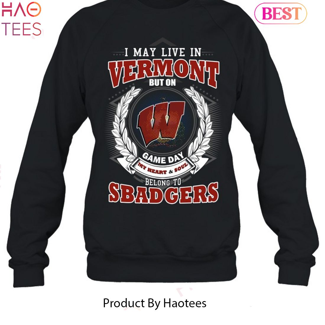 NEW I May Live In Vermont But On Game Day My Heart & Soul Belongs To Wisconsin Badgers Unisex T-Shirt NEW I May Live In Vermont But On Game Day My Heart & Soul Belongs To Wisconsin Badgers Unisex T-Shirt
