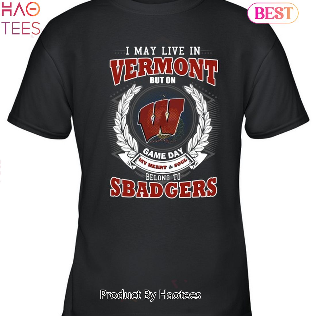 NEW I May Live In Vermont But On Game Day My Heart & Soul Belongs To Wisconsin Badgers Unisex T-Shirt NEW I May Live In Vermont But On Game Day My Heart & Soul Belongs To Wisconsin Badgers Unisex T-Shirt
