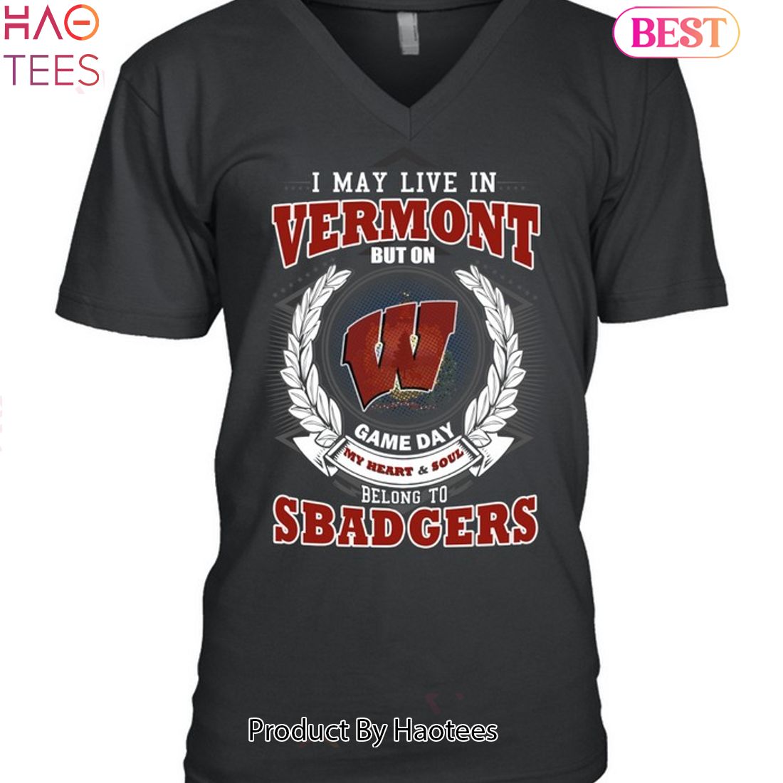 NEW I May Live In Vermont But On Game Day My Heart & Soul Belongs To Wisconsin Badgers Unisex T-Shirt NEW I May Live In Vermont But On Game Day My Heart & Soul Belongs To Wisconsin Badgers Unisex T-Shirt