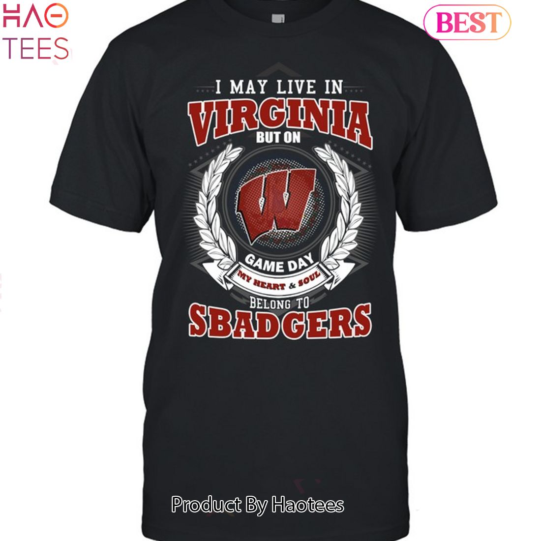 NEW I May Live In Virginia But On Game Day My Heart & Soul Belongs To Wisconsin Badgers Unisex T-Shirt NEW I May Live In Virginia But On Game Day My Heart & Soul Belongs To Wisconsin Badgers Unisex T-Shirt