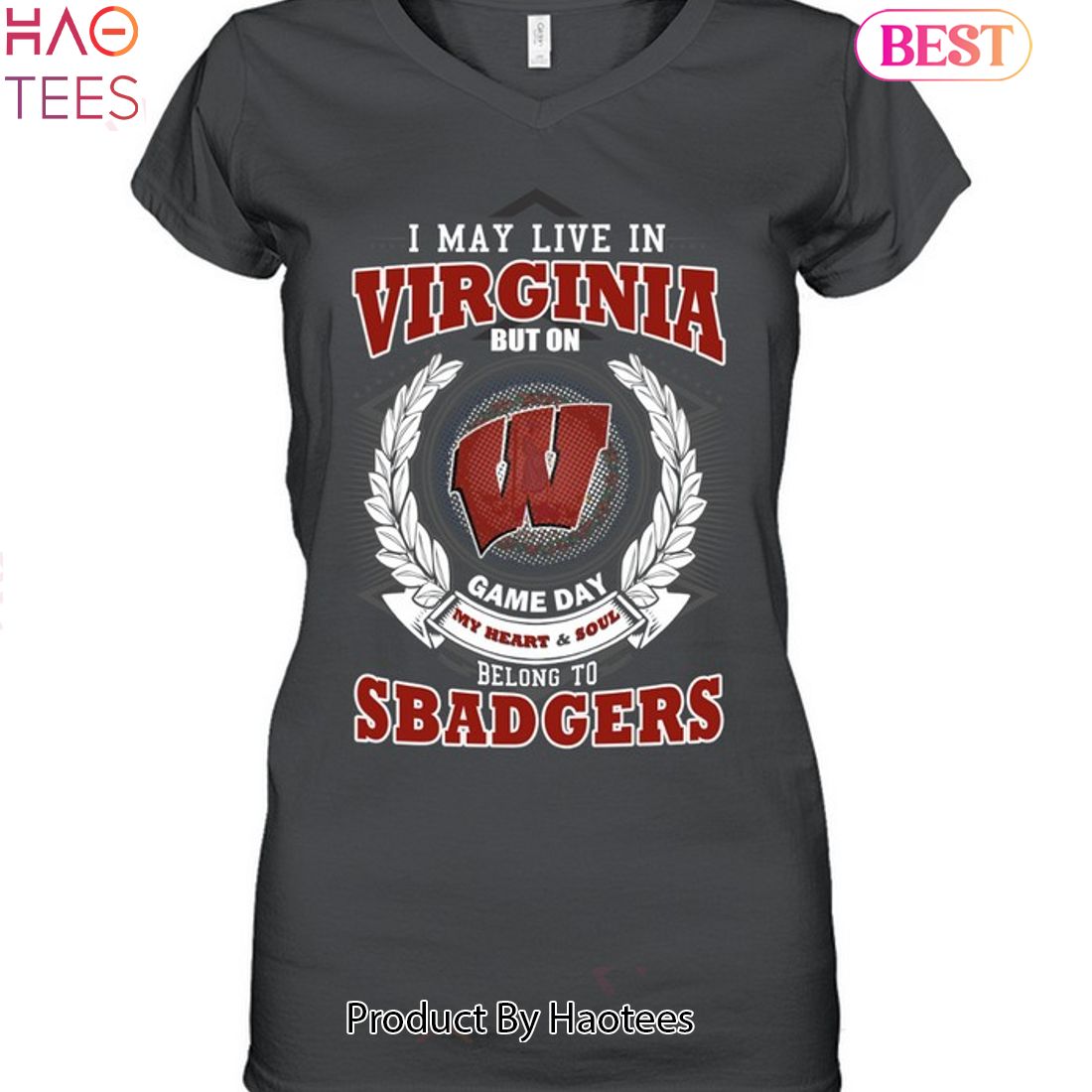 NEW I May Live In Virginia But On Game Day My Heart & Soul Belongs To Wisconsin Badgers Unisex T-Shirt NEW I May Live In Virginia But On Game Day My Heart & Soul Belongs To Wisconsin Badgers Unisex T-Shirt