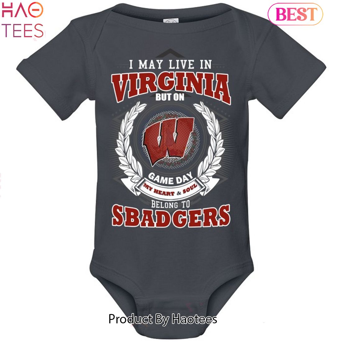 NEW I May Live In Virginia But On Game Day My Heart & Soul Belongs To Wisconsin Badgers Unisex T-Shirt NEW I May Live In Virginia But On Game Day My Heart & Soul Belongs To Wisconsin Badgers Unisex T-Shirt