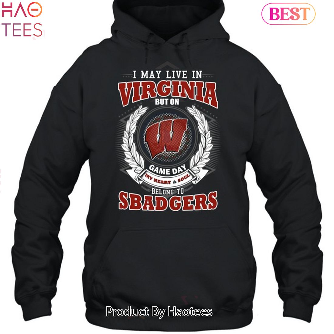 NEW I May Live In Virginia But On Game Day My Heart & Soul Belongs To Wisconsin Badgers Unisex T-Shirt NEW I May Live In Virginia But On Game Day My Heart & Soul Belongs To Wisconsin Badgers Unisex T-Shirt