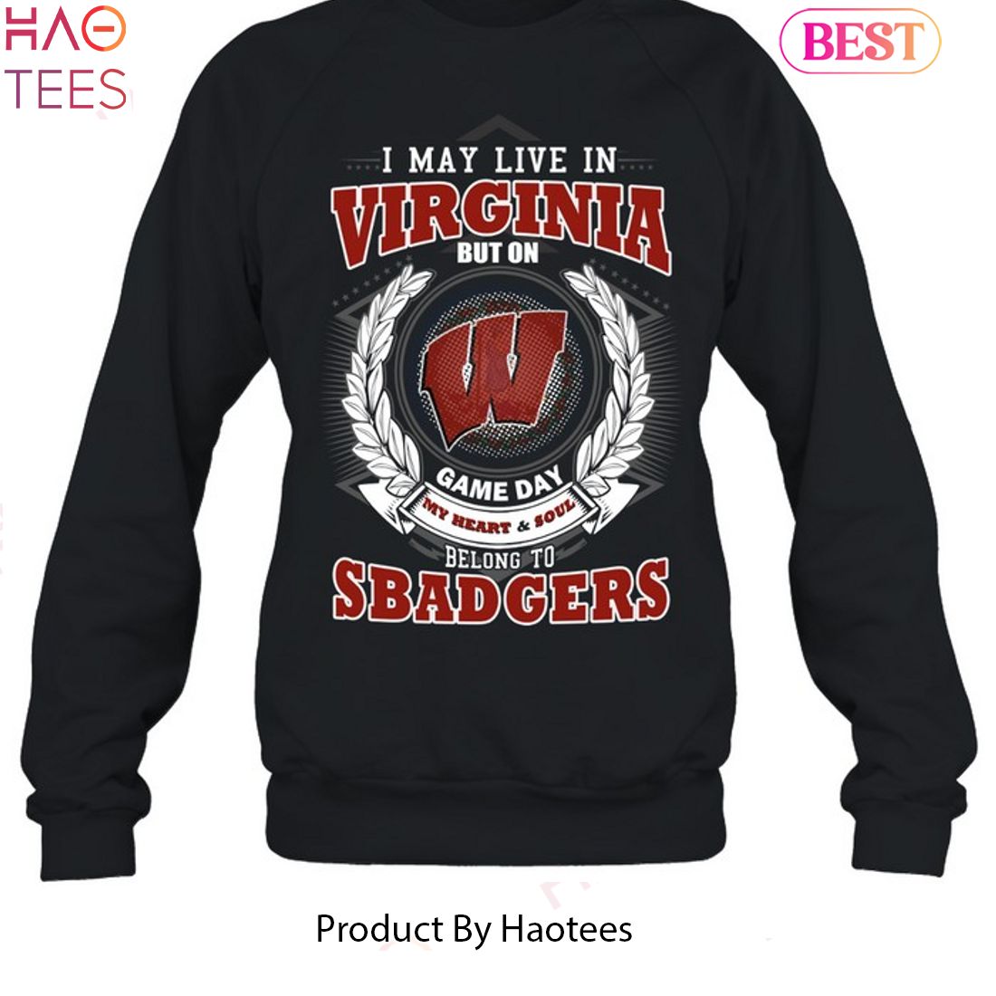 NEW I May Live In Virginia But On Game Day My Heart & Soul Belongs To Wisconsin Badgers Unisex T-Shirt NEW I May Live In Virginia But On Game Day My Heart & Soul Belongs To Wisconsin Badgers Unisex T-Shirt