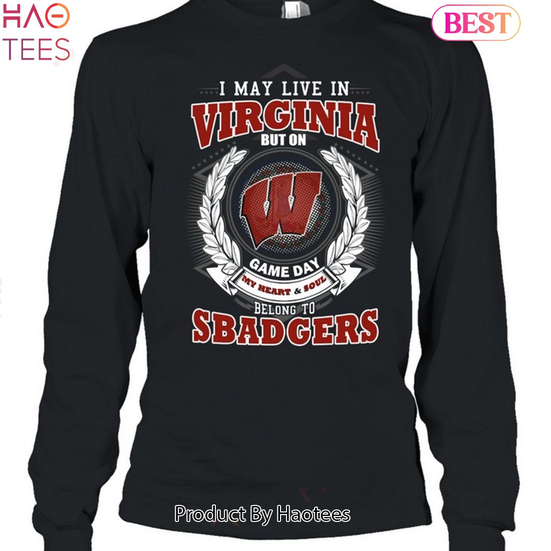 NEW I May Live In Virginia But On Game Day My Heart & Soul Belongs To Wisconsin Badgers Unisex T-Shirt NEW I May Live In Virginia But On Game Day My Heart & Soul Belongs To Wisconsin Badgers Unisex T-Shirt
