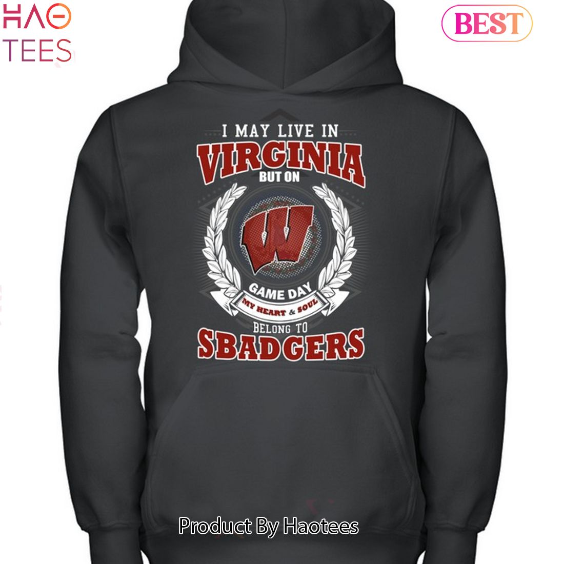 NEW I May Live In Virginia But On Game Day My Heart & Soul Belongs To Wisconsin Badgers Unisex T-Shirt NEW I May Live In Virginia But On Game Day My Heart & Soul Belongs To Wisconsin Badgers Unisex T-Shirt