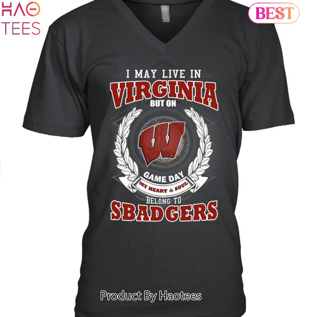 NEW I May Live In Virginia But On Game Day My Heart & Soul Belongs To Wisconsin Badgers Unisex T-Shirt NEW I May Live In Virginia But On Game Day My Heart & Soul Belongs To Wisconsin Badgers Unisex T-Shirt