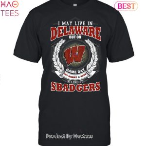 I May Live In Delaware But On Game Day My Heart & Soul Belongs To Wisconsin Badgers Unisex T-Shirt