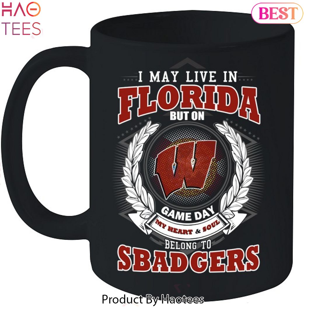 I May Live In Florida But On Game Day My Heart & Soul Belongs To Wisconsin Badgers Unisex T-Shirt I May Live In Florida But On Game Day My Heart & Soul Belongs To Wisconsin Badgers Unisex T-Shirt