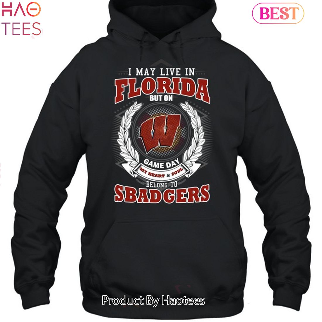 I May Live In Florida But On Game Day My Heart & Soul Belongs To Wisconsin Badgers Unisex T-Shirt I May Live In Florida But On Game Day My Heart & Soul Belongs To Wisconsin Badgers Unisex T-Shirt