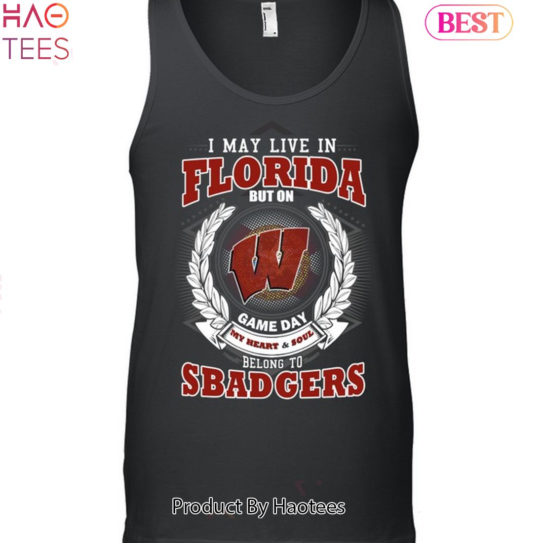 I May Live In Florida But On Game Day My Heart & Soul Belongs To Wisconsin Badgers Unisex T-Shirt I May Live In Florida But On Game Day My Heart & Soul Belongs To Wisconsin Badgers Unisex T-Shirt