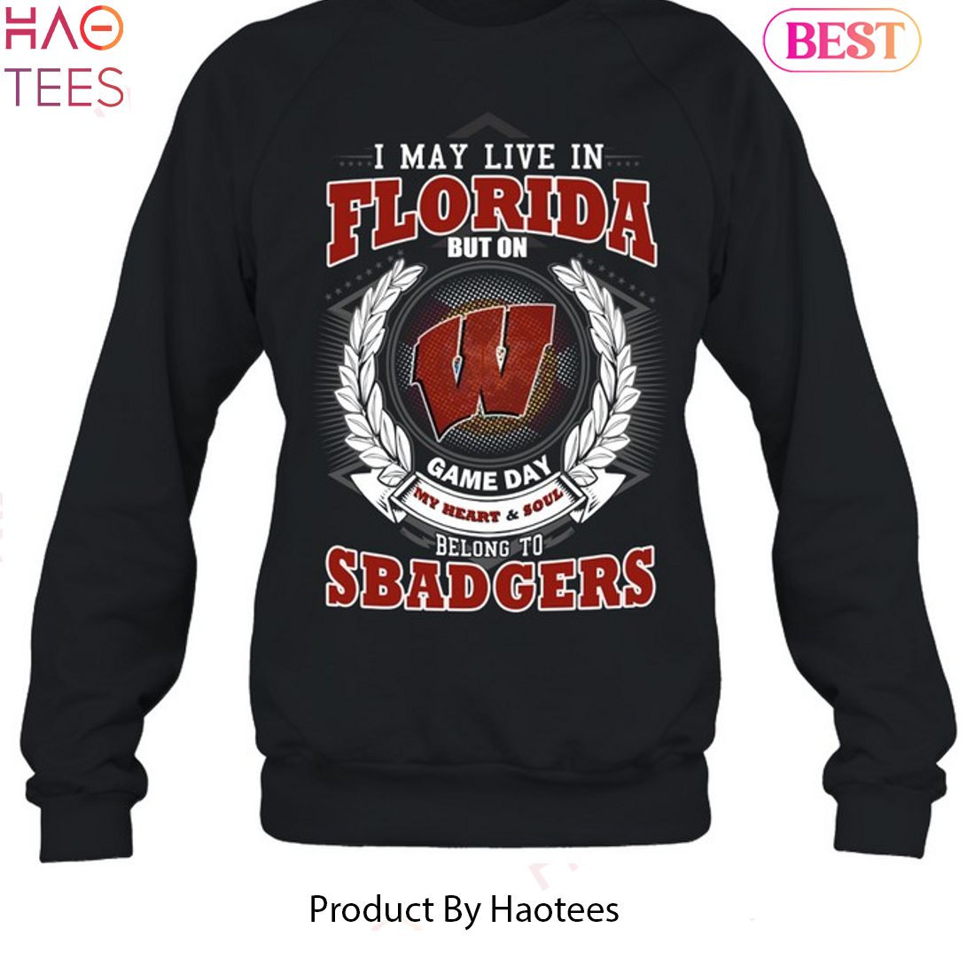 I May Live In Florida But On Game Day My Heart & Soul Belongs To Wisconsin Badgers Unisex T-Shirt I May Live In Florida But On Game Day My Heart & Soul Belongs To Wisconsin Badgers Unisex T-Shirt