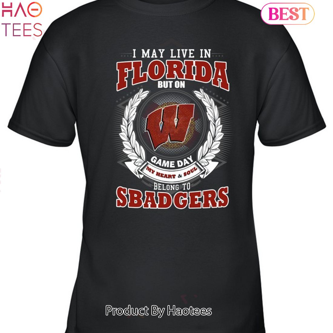 I May Live In Florida But On Game Day My Heart & Soul Belongs To Wisconsin Badgers Unisex T-Shirt I May Live In Florida But On Game Day My Heart & Soul Belongs To Wisconsin Badgers Unisex T-Shirt