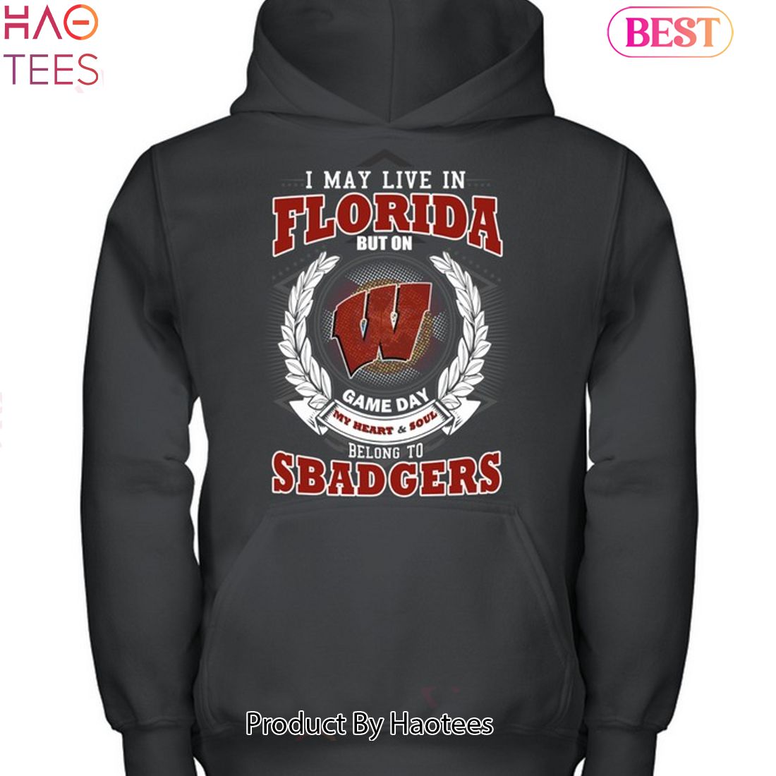 I May Live In Florida But On Game Day My Heart & Soul Belongs To Wisconsin Badgers Unisex T-Shirt I May Live In Florida But On Game Day My Heart & Soul Belongs To Wisconsin Badgers Unisex T-Shirt