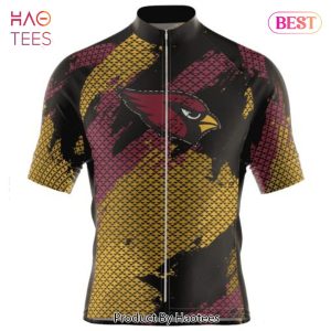 BEST NFL Arizona Cardinals Special Design Cycling Jersey Hoodie