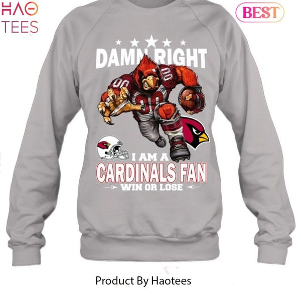 Funny st. Louis Cardinals that's a winner shirt, sweater, hoodie