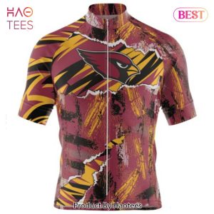 HOT TREND NFL Arizona Cardinals Special Mix Stripes Design Cycling Jersey Hoodie