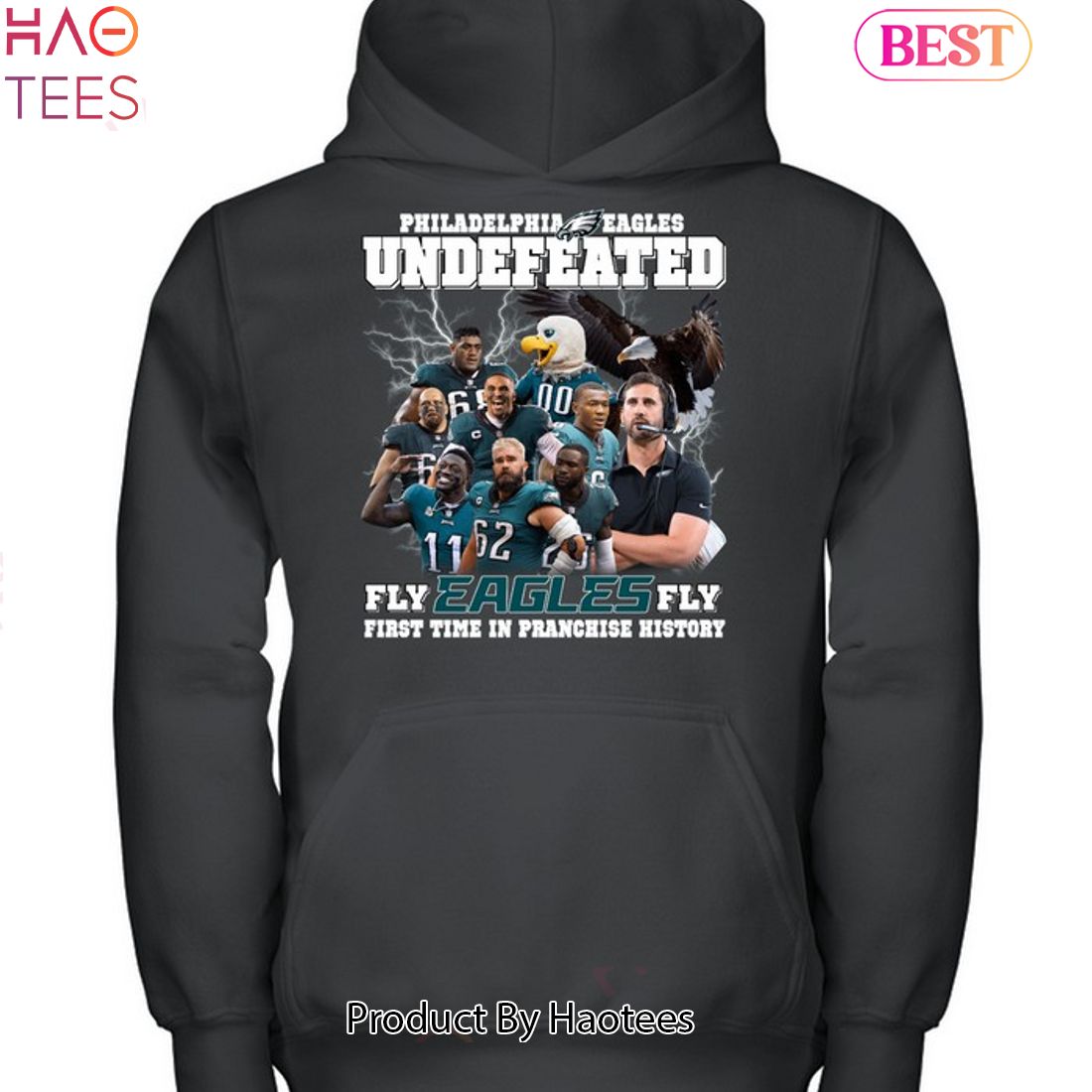 Philadelphia Eagles fly Eagles fly logo shirt, hoodie, sweater