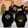 BEST Limited Edition NFC North Champions 2023 Detroit Lions Hoodie