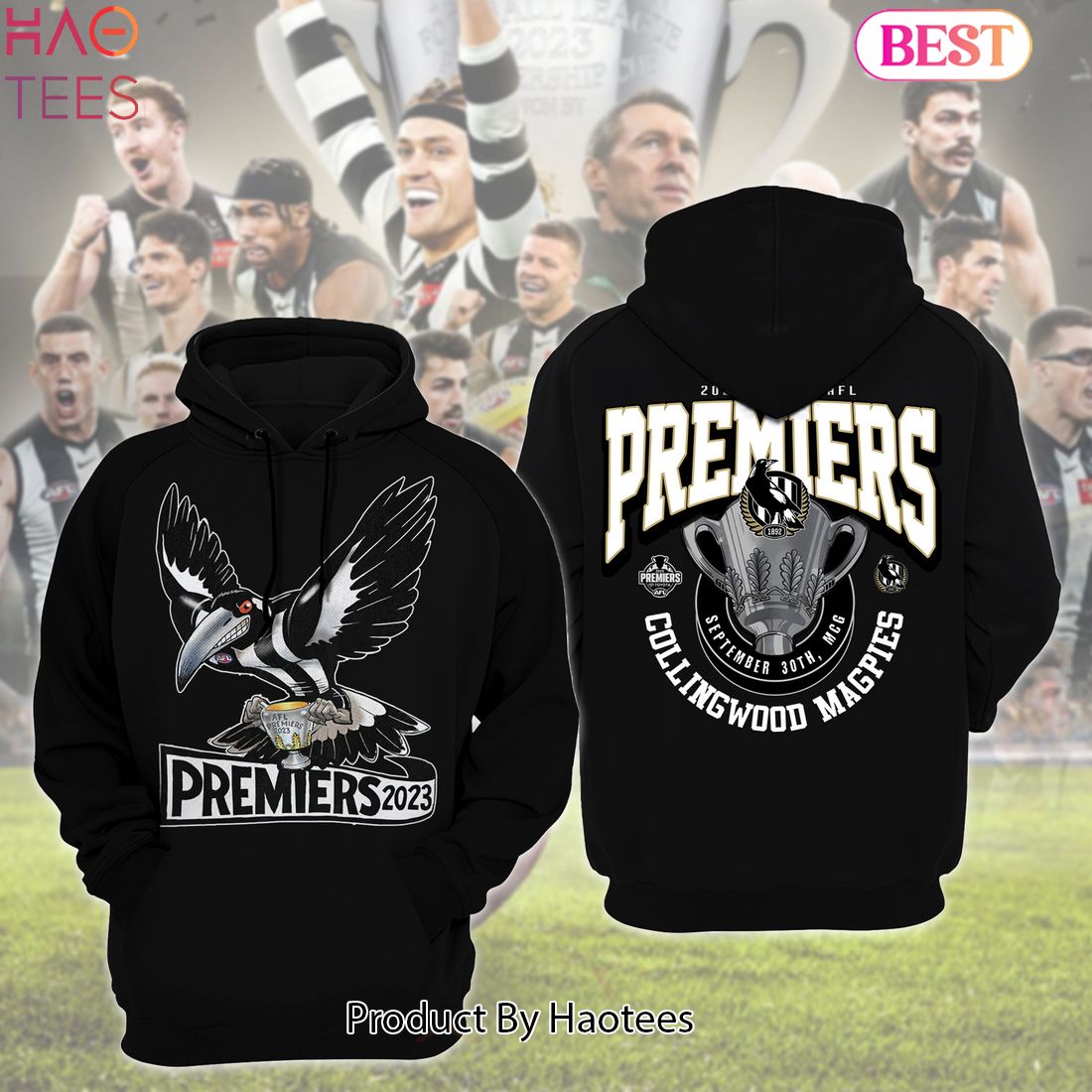 NEW Collingwood Magpies 2023 Premiers Hoodie Limited Edition