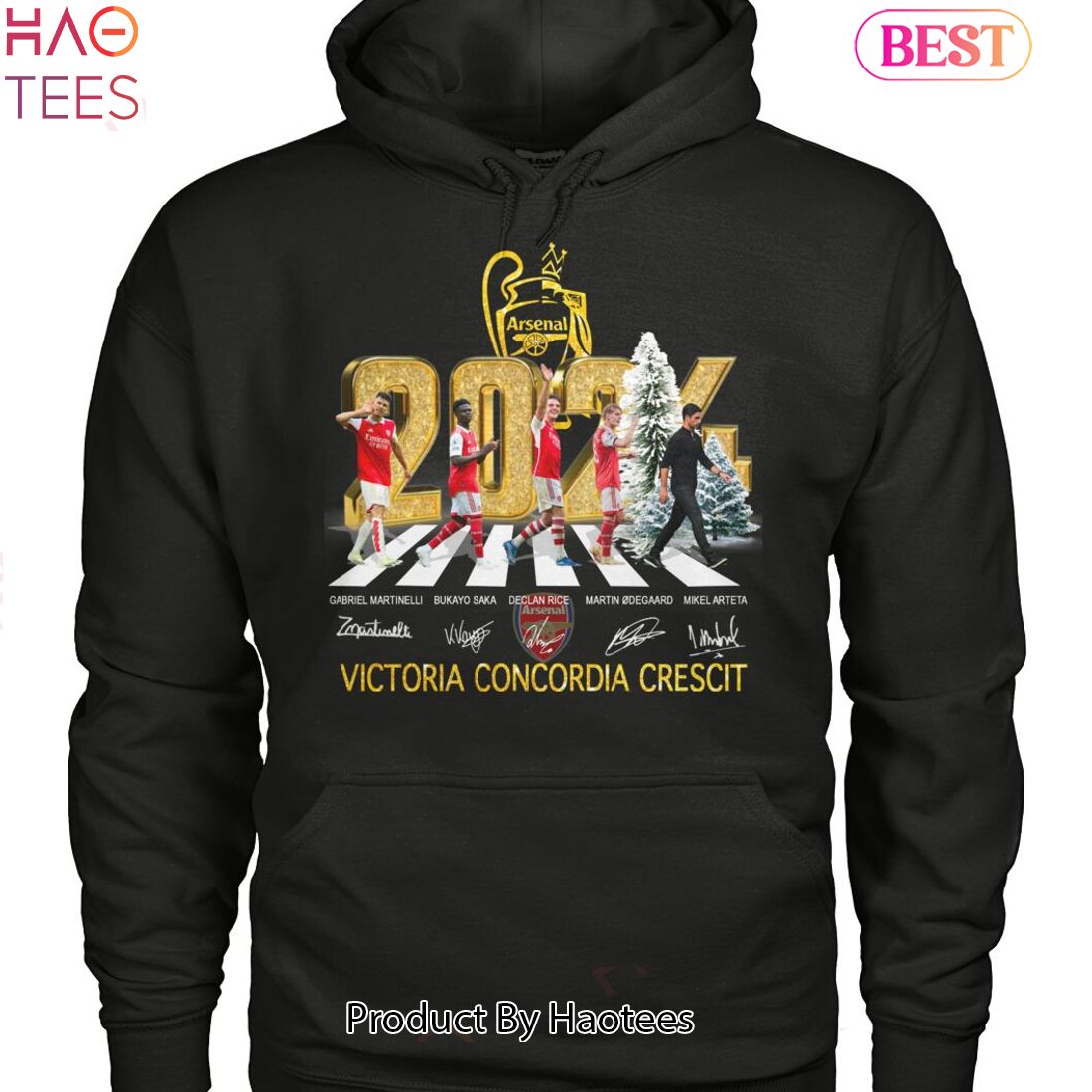 HOT TREND 2024 Arsenal Victoria Concordia Crescit Hoodie