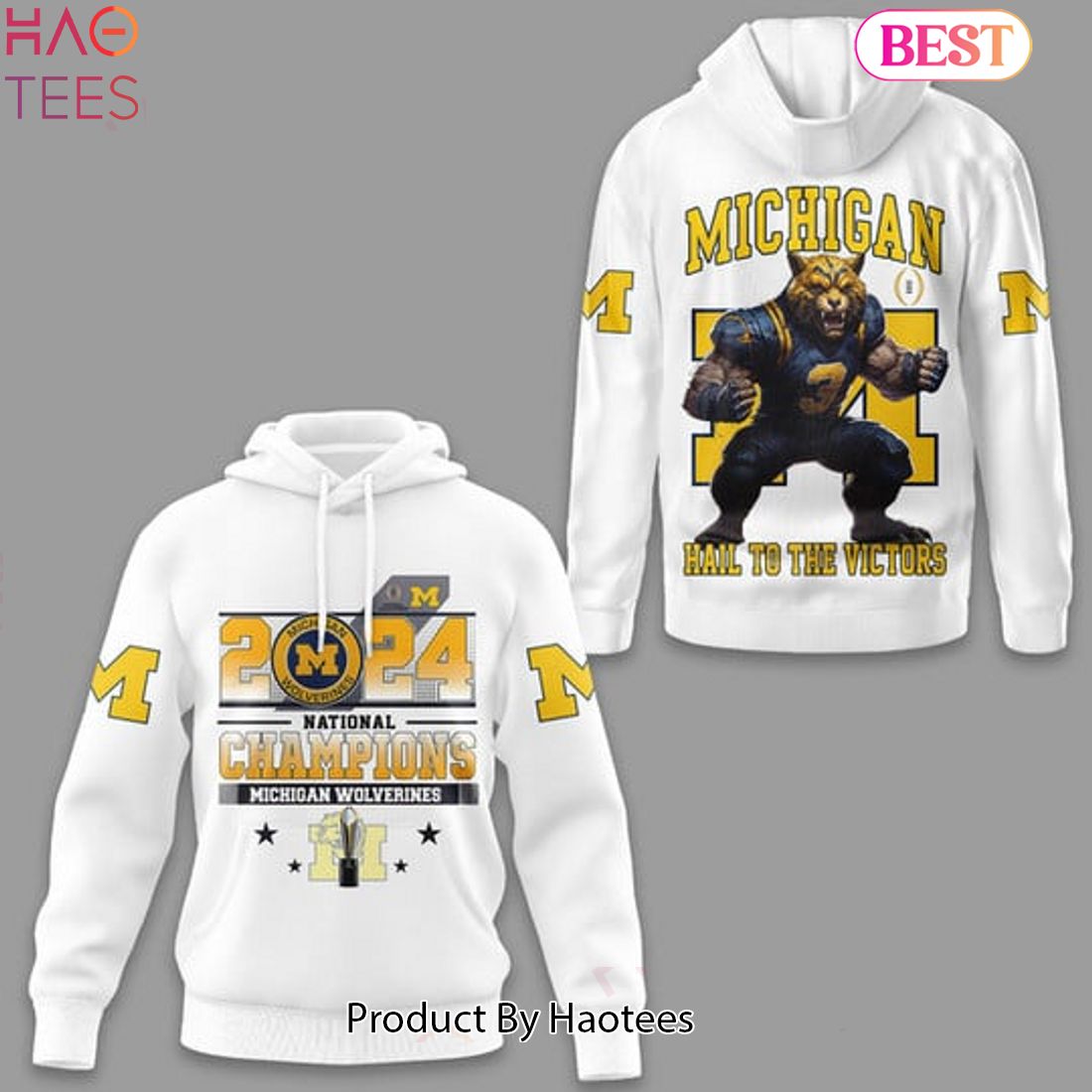 TRENDING Michigan Wolverines Football 2024 National Champions Hoodie