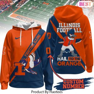 2024 Illinois Fighting Illini Football Hail To The Orange Hoodie