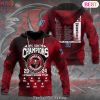 Back To Back 2024 AFC North Champs Baltimore Ravens Design  Hoodie