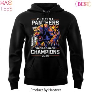 Florida Panthers Stanley Cup Final Champions Back-To-Back Design Hoodie