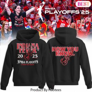 Play Offs Indiana Fever Now You Know Hoodie