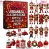 Seahawks 50TH Anniversary Advent Calendar Seahawks 50TH Anniversary Advent Calendar