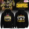Pittsburgh Steelers 2025 AFC North Division Champions Hoodie