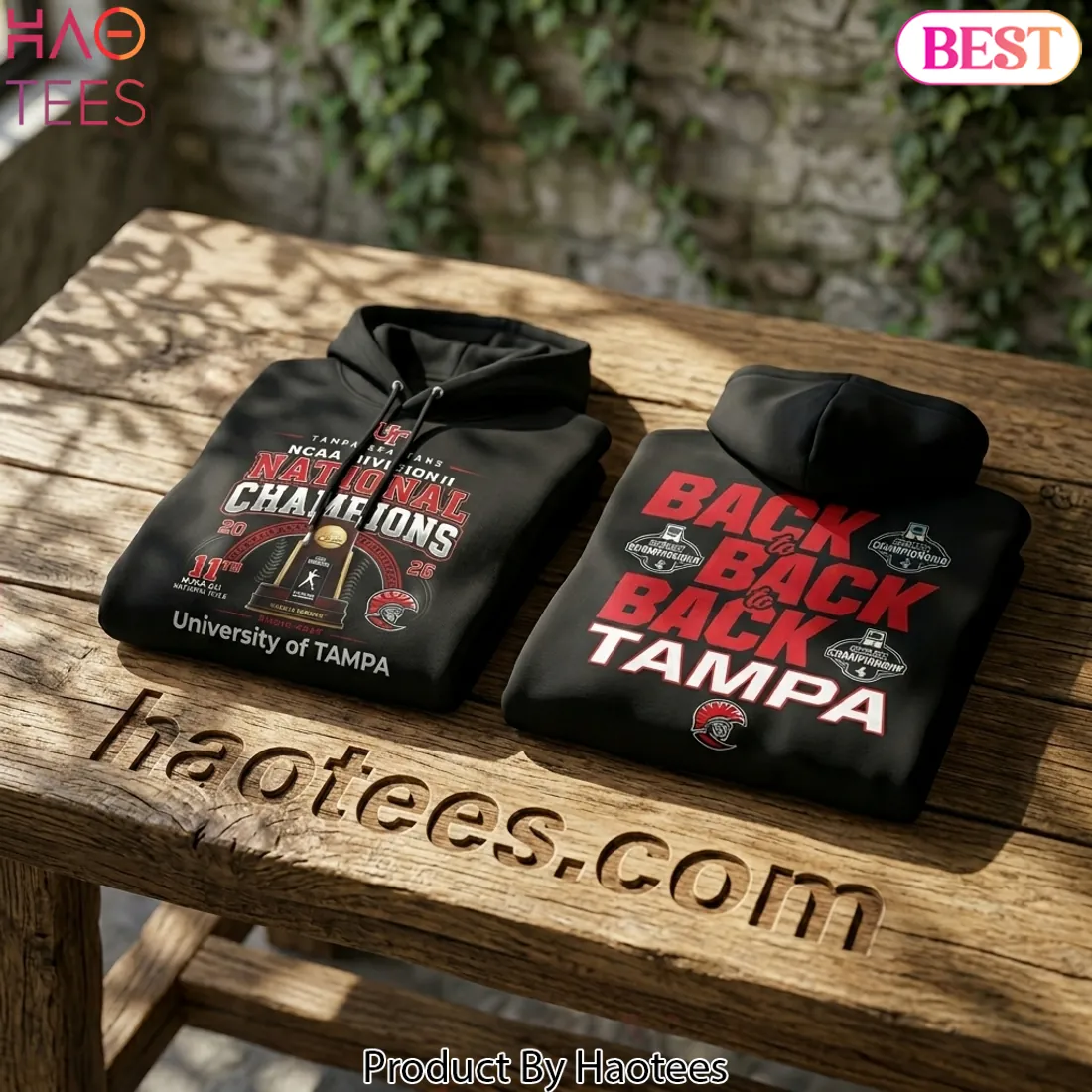 Tampa Spartans 2026 NCAA Division II Baseball National Champions Hoodie